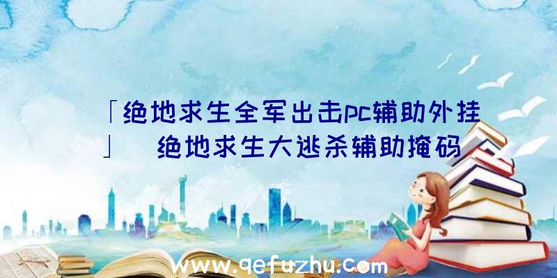 「绝地求生全军出击pc辅助外挂」|绝地求生大逃杀辅助掩码